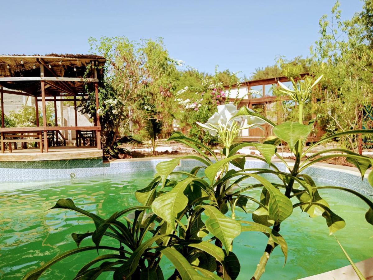 Maison d'hôtes Nakamu Lodge